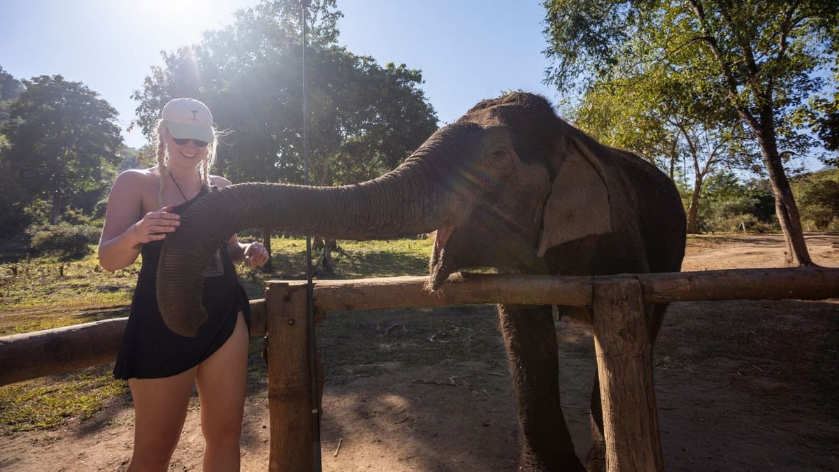 Chiang Mai Half-Day Adventure: River Tubing & Waterfall Slide
