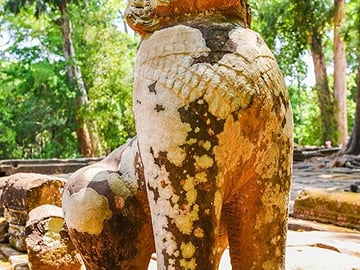 Wander the Angkor temple complex with your own personal guide who shares scholarly insight on the awe-inspiring site dating back to the Khmer Empire.