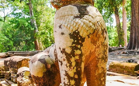 Private Full-Day Angkor Temple and Sunset Viewing