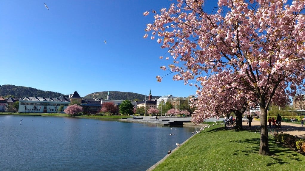 Bergen City Sightseeing - Private Guided Tour