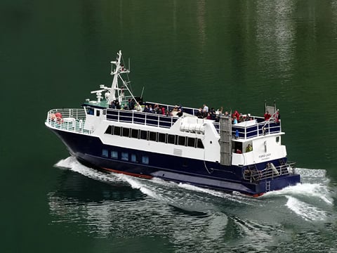 A drone shot of a whale watching vessel