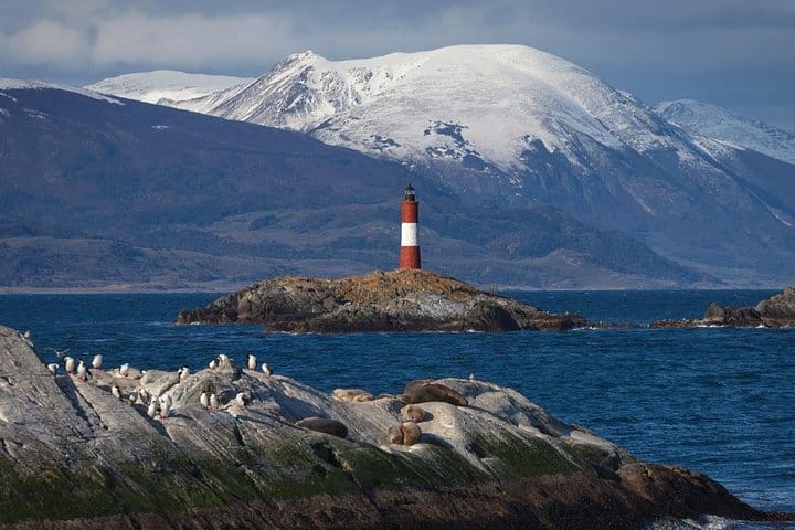 Ushuaia, Navigation Beagle Channel and Isla de Lobos - Half day 2