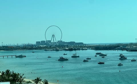 Dubai City Tour with The View at Palm Experience