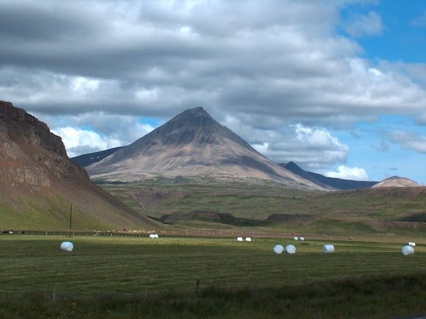 Strandir Adventure Private Tour 7