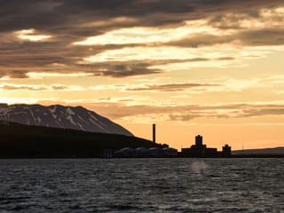 Akureyri Express Whales in the Midnight Sun, photo 10