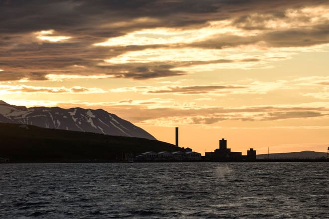 Akureyri Express Whales in the Midnight Sun 10
