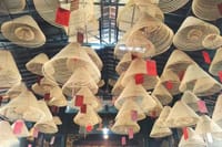 Private Day Tour in Guangzhou: Huangpu Old Port, Baomo Garden, Day Cruise etc. 2