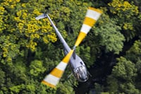 Day Flight 48 Miles Helicopter Tour over Theme Parks & Downtown 5