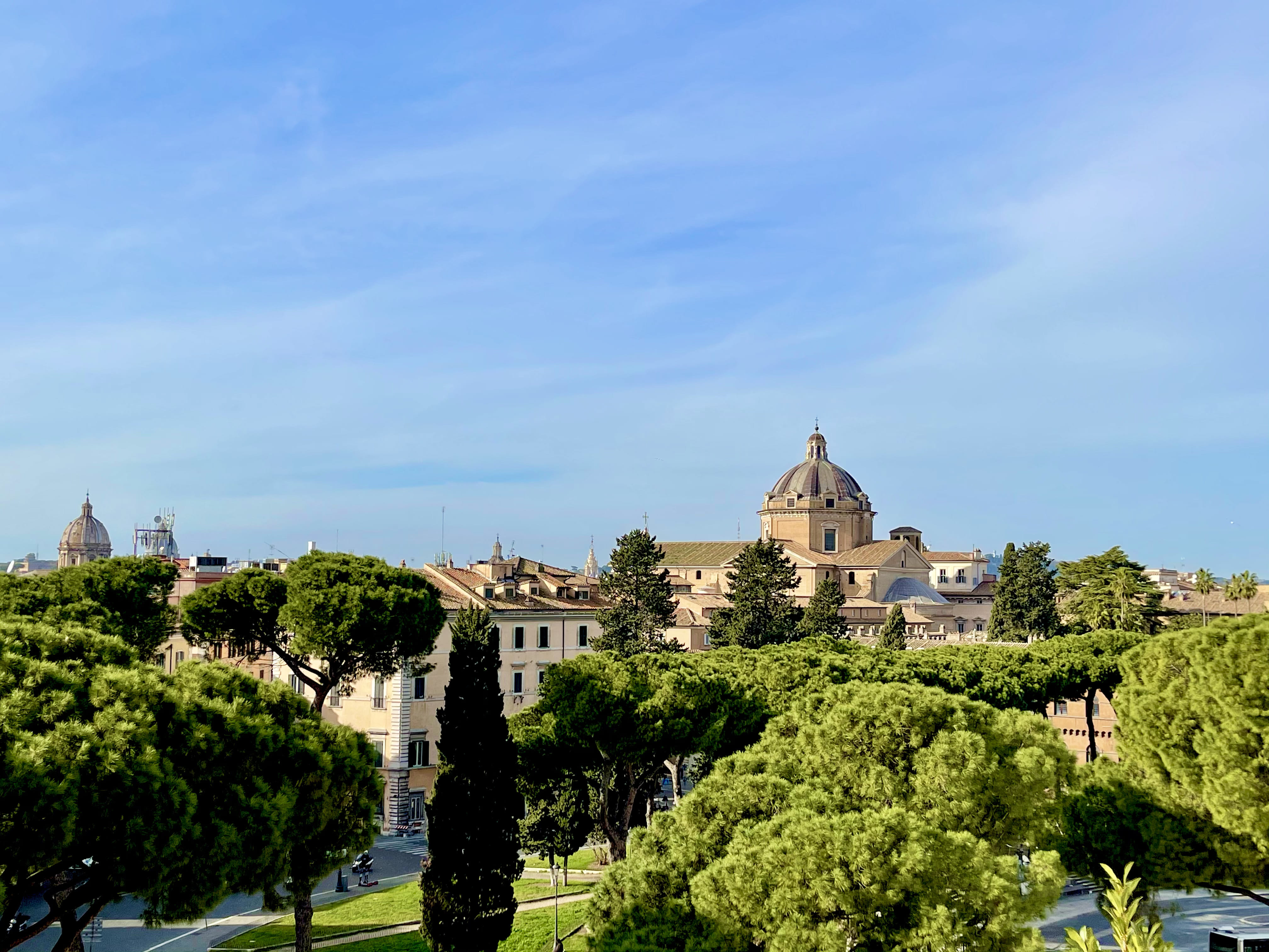 Roman Forum, Palatine Hill, Colosseum Panoramic Views Private Tour