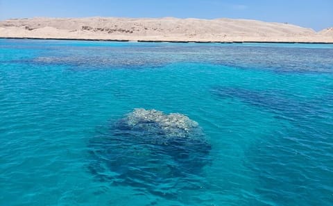 Full Day Snorkeling and Relaxation Trip to Eden Island from Hurghada
