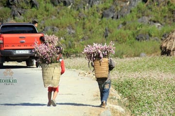 Hà Giang 3-Day Adventure Tour with Hiking and Cultural Experiences