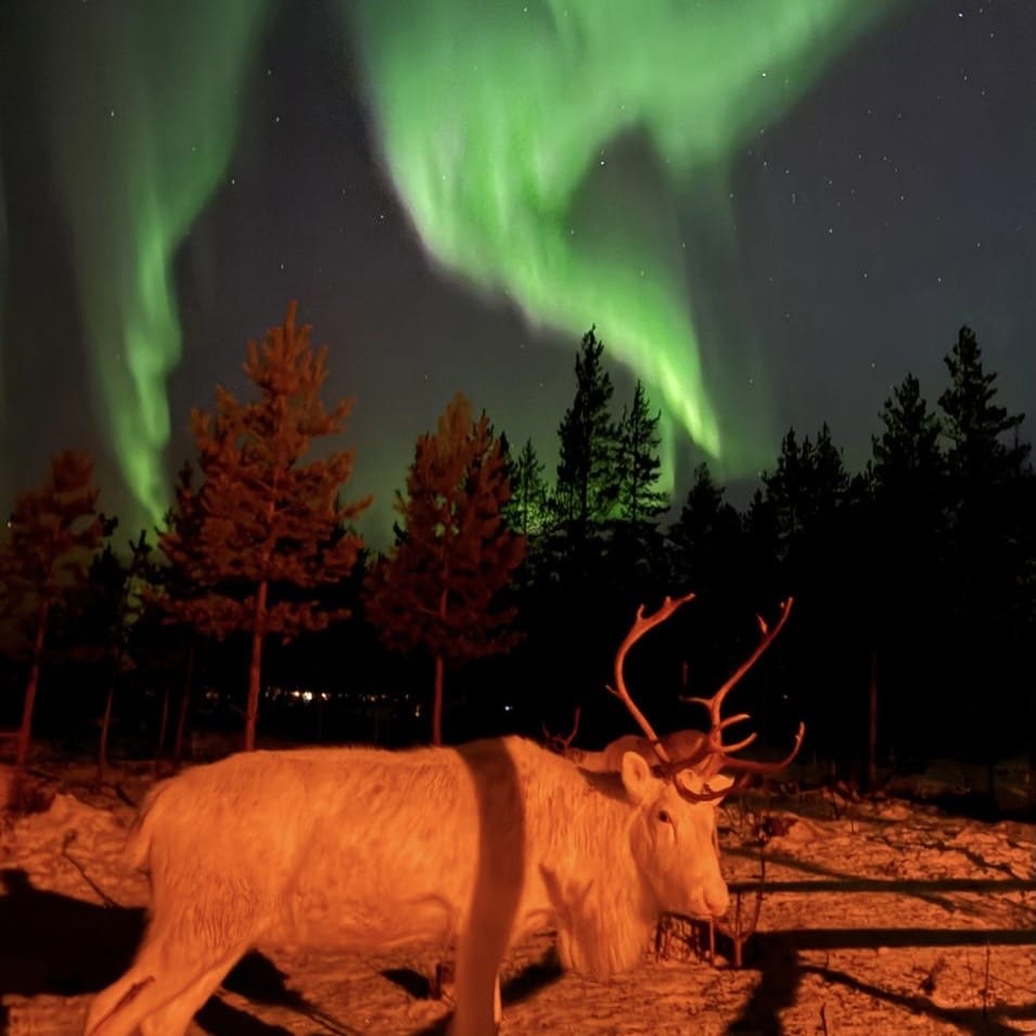 Northern Lights safari on electric snowmobile in Rovaniemi