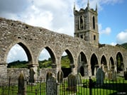 From Dublin: Wicklow, Glendalough, Waterfall & Sheepdog demo 3