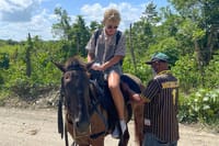 Horseback riding tour buy the beach or countryside port silver 6