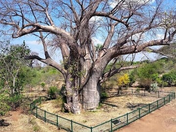 Victoria falls Private guided tour Old age
