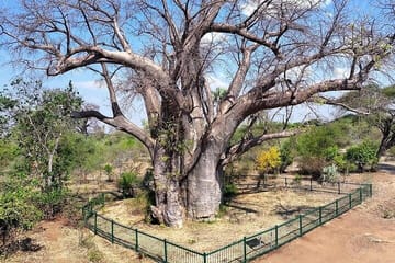 Victoria falls Private guided tour Old age