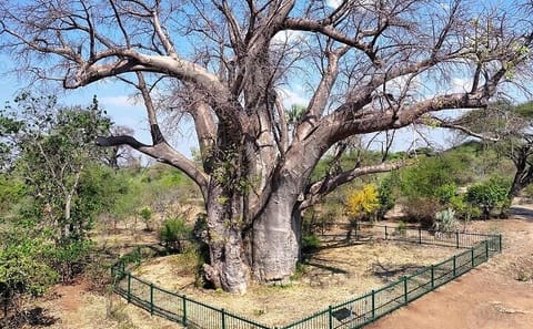 Victoria Falls private guided walking tour in Zimbabwe with local insights
