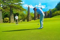 Golfing in Rose Hall Great House & Cinnamon Hill Course with Private Transport 1