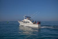 Alanya: Half-Day Private Fishing Experience 8