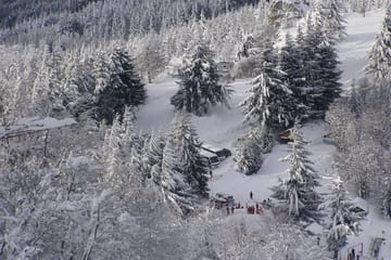 Sledge Tour at Piedras Blancas Snow Resort in Bariloche