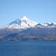 Lake Huechulafquen and Lanin Volcano Day Trip