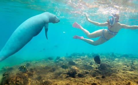 Private 4-Hour Speedboat and Snorkeling Tour in Hurghada