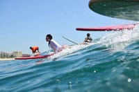 Surfing lessons