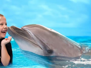 Dubai Dolphinarium Interactive Show at Creek Park