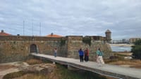 Private Porto Full-Day Tour: Cathedral, Lello and Wine Tastings 3
