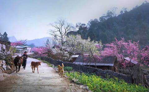 3-Day Adventure Tour in Ha Giang, Vietnam