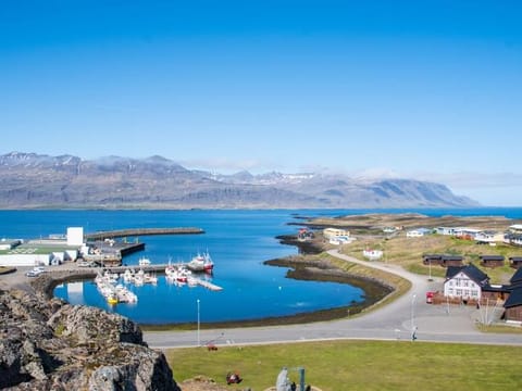 Glacier Lagoon & Diamond Beach Tour From Djúpivogur Port, photo 4