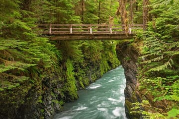 Day Trip to Olympic National Park from Seattle with Ferry