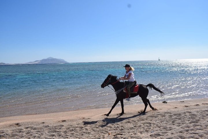 Hurghada : Horse Riding 2 Hours Sea & Desert with Transfer 5