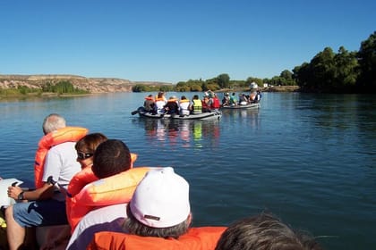 Flyfishing Or Spinning In The Limay River from Bariloche