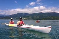 Mangrove and Beach Kayak Tour BY PARATY TOURS 4