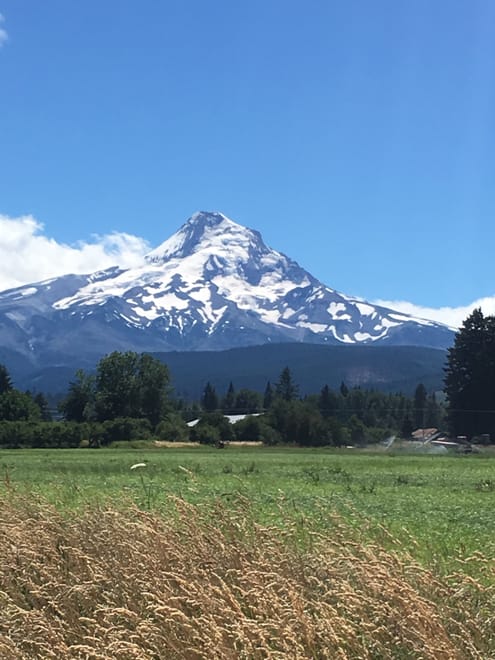Mt Hood from a winery