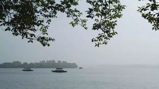 Private Day Tour to Lingyin Temple & Longjing Village
