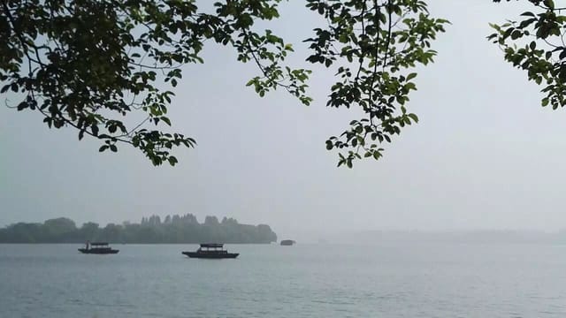 Private Day Tour to Lingyin Temple & Longjing Village