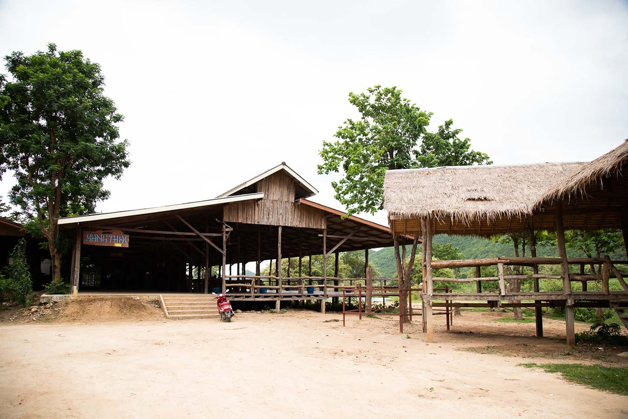 Elephant World Kanchanaburi with Private Transport from Bangkok 4