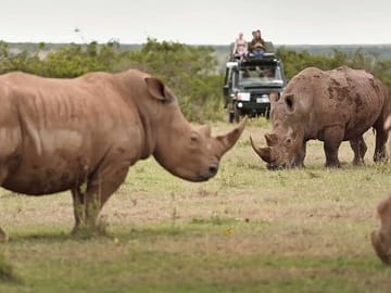 2-Day Solio Ranch Safari from Nairobi in 4x4 Land Cruiser