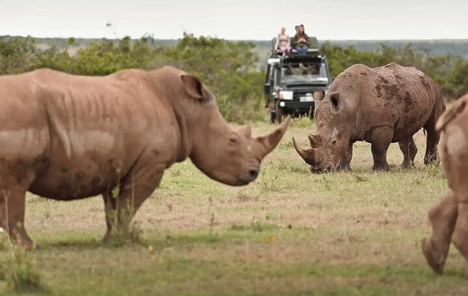 2-Days Solio Ranch Safari by 4×4 Land Cruiser Jeep