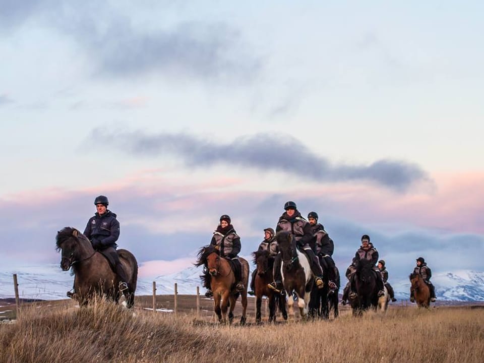 The Viking-Ride- All in One — Hestasport