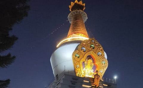Full-Day Guided Cultural Tour of Dehradun and Malsi
