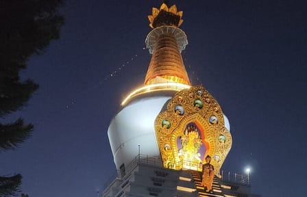 Full-Day Guided Cultural Tour of Dehradun and Malsi
