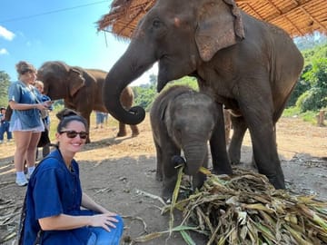 Full-Day Elephant Sanctuary and Pad Thai Cooking in Chiang Mai