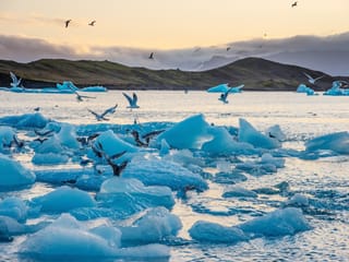 Diamond Beach, Jökulsárlón Glacier Lagoon & Boat Tour from Reykjavík, photo 18