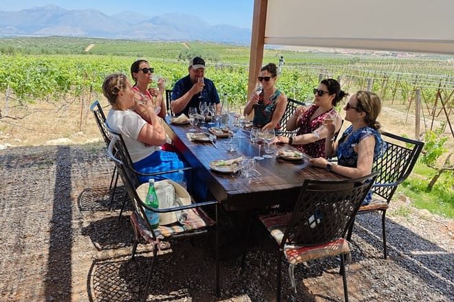 Exploring Local Secrets: Wine, Raki, Olive Oil & Honey 6