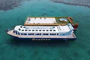 Panorama Semi Submarine Tour & Snorkeling Sea Trip With Transfer - Hurghada