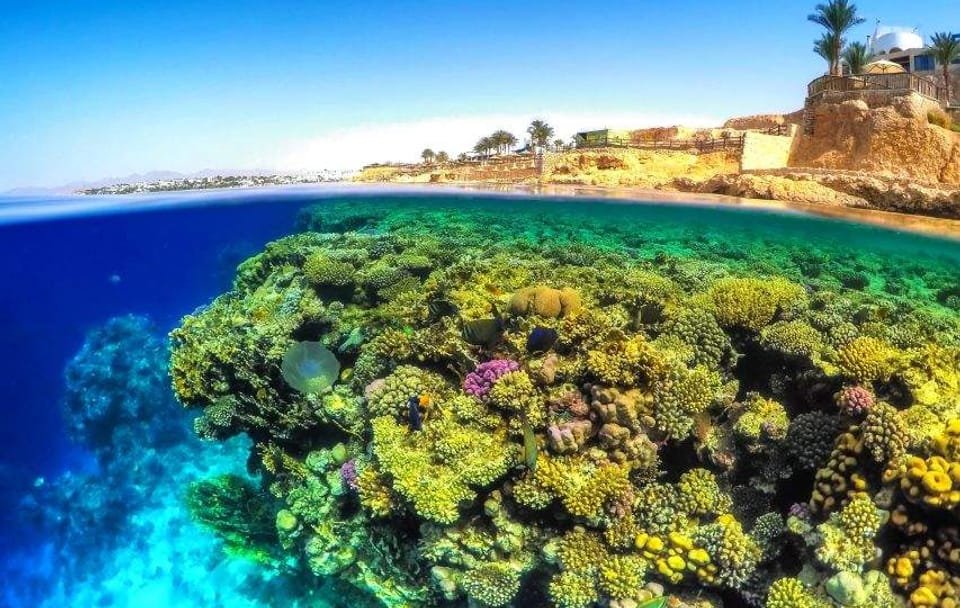 Snorkeling Adventure at Sharm El-Naga from Hurghada