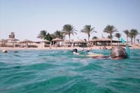 Sharm El Naga Day Snorkeling Trip &amp; Lunch By Car - Hurghada